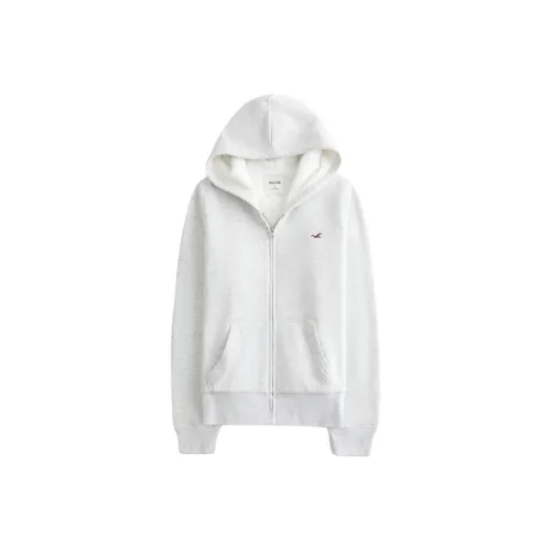 Hollister Куртки и Пальто Женские