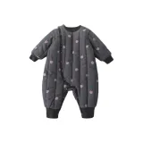 Розовая вишня Пудинг