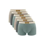 6 пачек C8 (Абрикос + Темно-серый + Зеленый + Абрикос + Темно-серый + Зеленый)