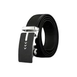 Серебристая пряжка