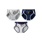 3 пачки (Группа E - Темный Фотиния Серый + Морской Синий + Светлый Фотиния Серый)