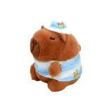 Гавайи, стиль, коричневый, синий