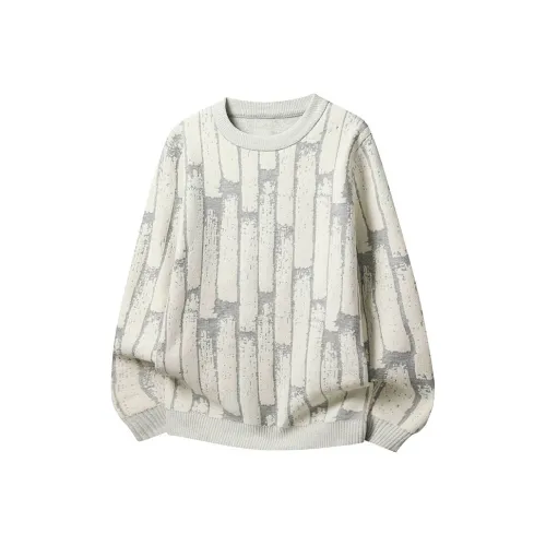 HATCHESSEL Круглый вырез Вязаная модель Свитер Мужской