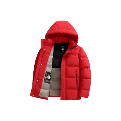 KADANDINUO Мужские куртки