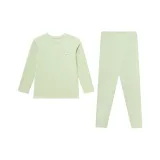 Светло-зеленый цвет травы