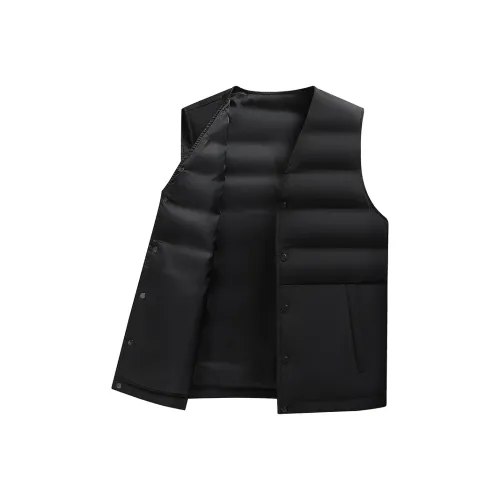 SNOW FLYING Пуховик Жилет Мужской