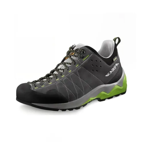 SCARPA Vitamin GTX Амортизация Износостойкий Низкий Топ Альпинизм Походная обувь Унисекс Серебристо-серый