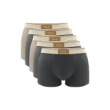 5 пачек C6 (Абрикос + Темно-серый + Абрикос + Темно-серый + Черный)