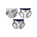 3 Pack (Group F-Dark Photinia Gray+Milk Puff Bear+Light Photinia Gray)  
3 Пачка (Группа F-Темный Фотиния Серый+Молочный Пуш Медведь+Светлый Фотиния Серый)