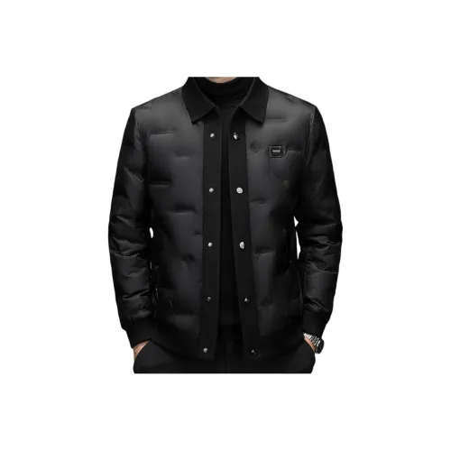 ASSIDUOUS CONFUSED EFFORT Пуховик Мужской