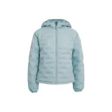 Синий цвет далеких гор