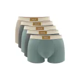 5 пачек C5 (Абрикос + Темно-серый + Зеленый + Темно-серый + Зеленый)