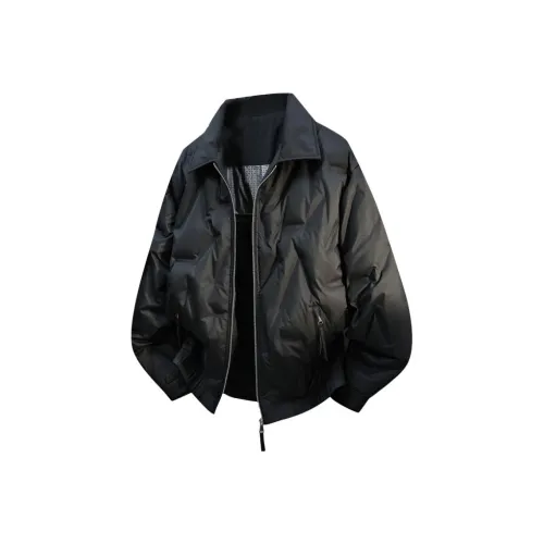 ICVBL Мужские пуховики