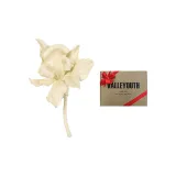 Экрю (Подарочная коробка Набор)