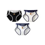 3 Pack (Группа B - Премиум Черный + Молочный Пушистый Медведь + Маленький Белый Медведь)