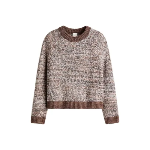 H M Коричневый Белый Женский Трикотаж