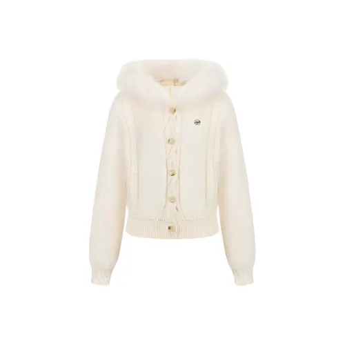 DTLUI Женская трикотажная одежда