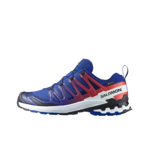 SALOMON XA Pro 3D V9 Кроссовки для трейлраннинга Унисекс Blue