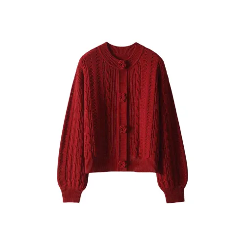 IWZI Зодиакальный год Красный Женский Трикотаж