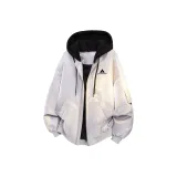 Слюдяной серый