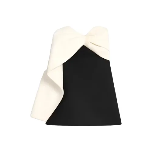 CELINE FW25 Без рукавов Платье Женское