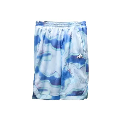 Adidas Шорты Children Aged 3-7 лет Королевский синий Белый