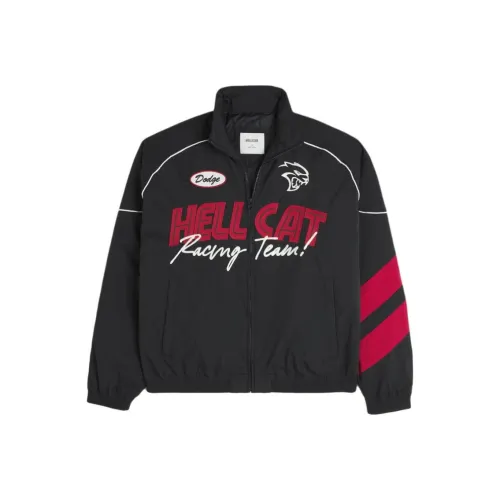 Hollister Куртки и Пальто Мужской