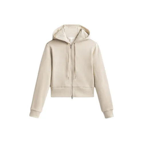 H M Овсяный Женский Свитшот