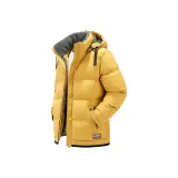 Земляной желтый