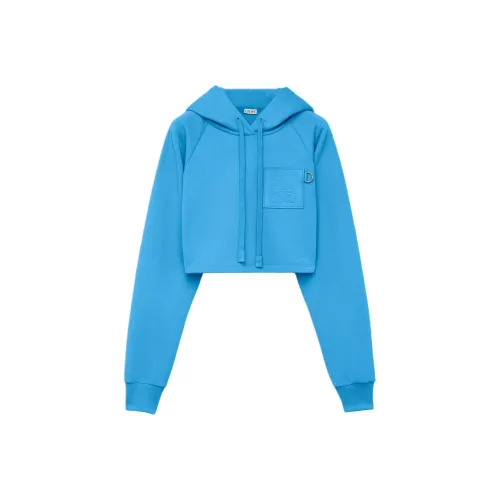 LOEWE Синий Женские Свитшоты