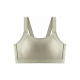 Эвкалипт зеленый