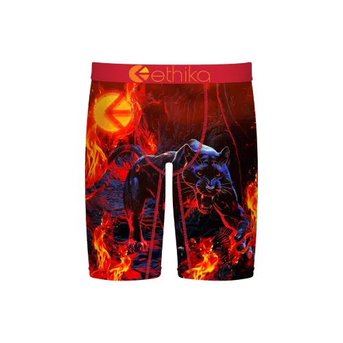 ETHIKA Пламя Tamer Мужские боксер-шорты