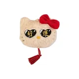 Удачи, котенок!