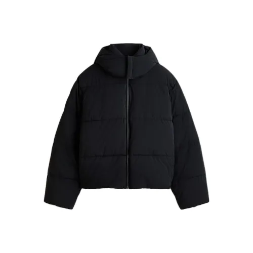 H M Темно-синий Мужской Пуховик