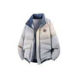 Ледниково-серый