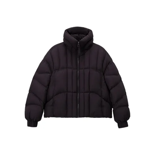 JASON WU Cropped Down Jacket Women's