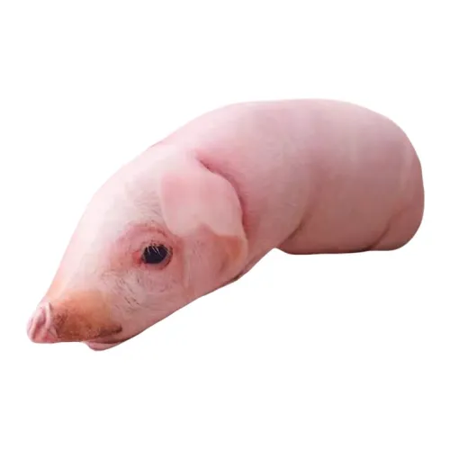 WANJUXIANSHENG Креативный симуляция Поросенок Милый Свинка Куклы Плюшевая кукла 50 см 70 см высокая