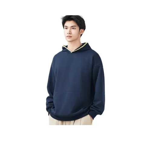 ICVBL Мужские Свитшоты