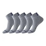 [5 Pack] Светлый Фотиния Серый 5