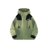 Кедр Зеленый