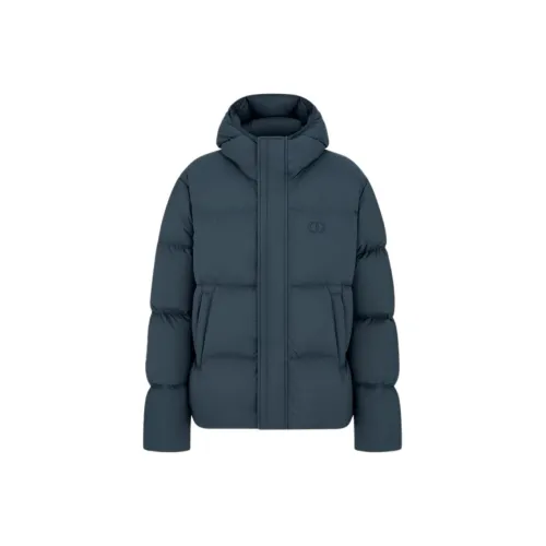 DIOR Синий Мужской Пуховик