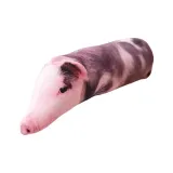 Чёрный, свинья