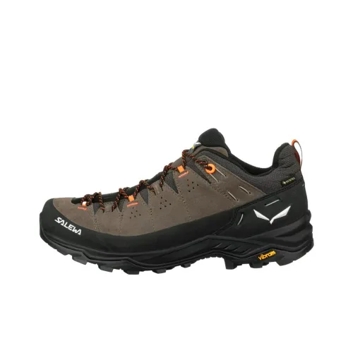 SALEWA ALP Trainer 2 Gore TEX Противоскользящий Устойчивый к истиранию Низкий Топ Походная обувь Мужской Коричневый