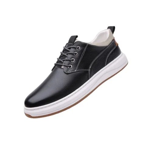 AOLUN Повседневные кожаные туфли для мужчин