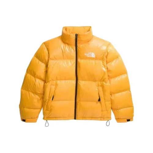 The North Face 1996 Collection Nuptse Пуховик Мужской