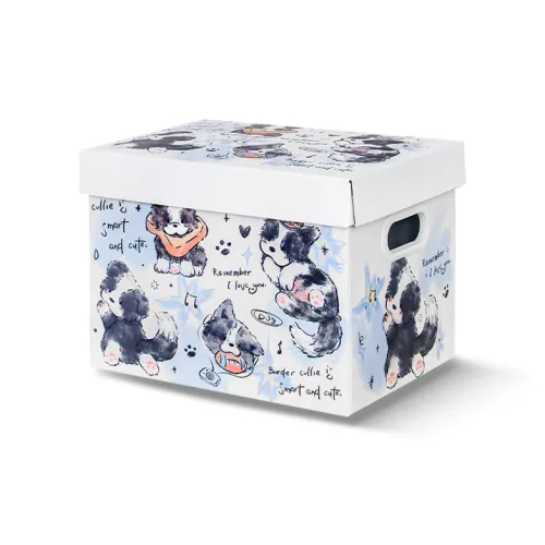 COPI Бумага Шкатулки для украшений Унисекс