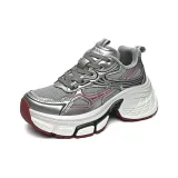 Сталинский серый