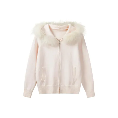 DITB Raft Page Пудра Женские Трикотаж