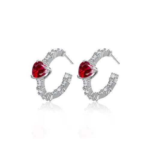 JianKai Серьги с Цирконом Унисекс