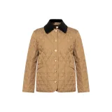 Верблюжий цвет